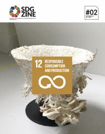 SDGzine #02: Responsible Consumption and Production